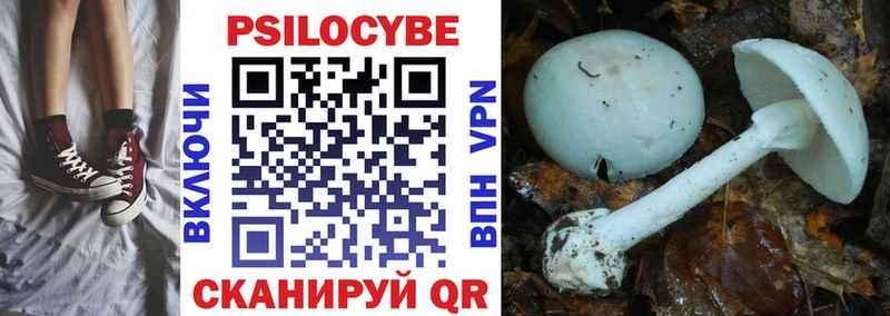 Псилоцибиновые грибы мухоморы Нерчинск