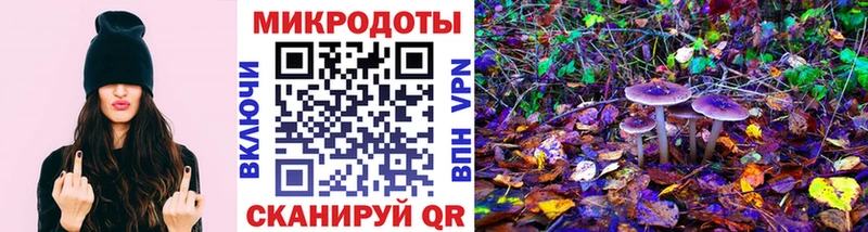 Псилоцибиновые грибы прущие грибы  где купить наркоту  кракен tor  Нерчинск 