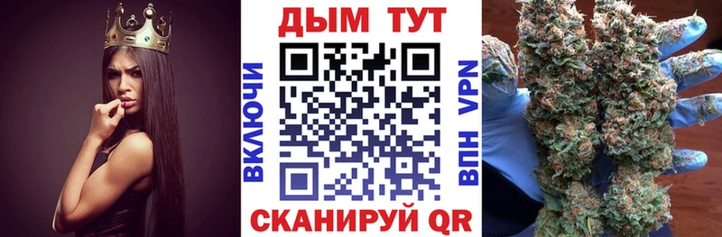 mega зеркало  Нерчинск  Каннабис сатива 